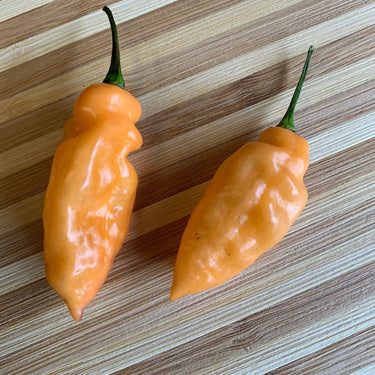 Bhut Jolokia Peach x Pimenta de Neyde - Seeds - The Pepper Pantry (Formerly Marie Sharp's)